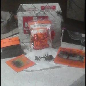 Halloween spider & web decorations